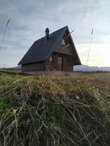 a small house in the middle of a field at Brown cabin in Žabljak