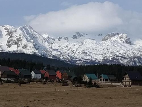 a group of houses with snow capped mountains in the background at Brown cabin in Žabljak
