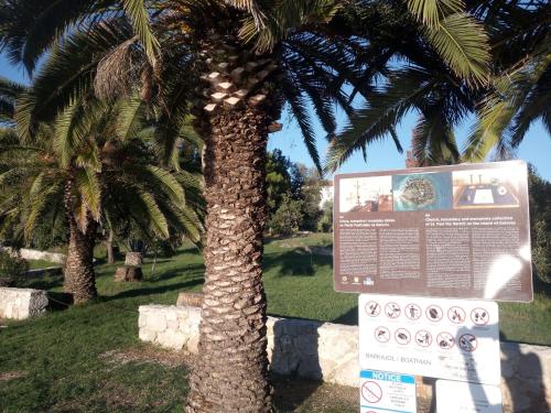 a palm tree with a sign in front of it at Private Tour with traditional boat in Zadar