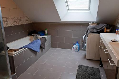 ein Badezimmer mit einem Waschbecken und einer Badewanne in der Unterkunft Superbe appartement au coeur du Jura in Champagnole
