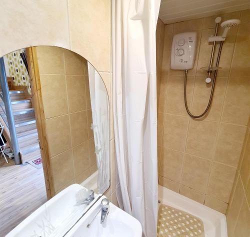 y baño con ducha, lavabo y espejo. en The Lodge en Dublín