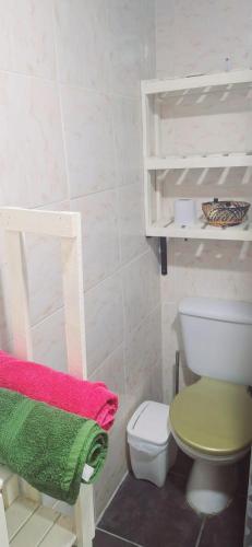 a bathroom with a toilet and a green and pink towel at Apartamento MADERO in Buenos Aires