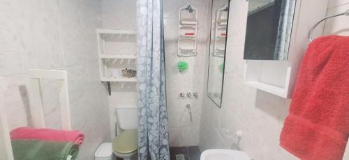 bagno con doccia e asciugamano rosso di Apartamento MADERO a Buenos Aires
