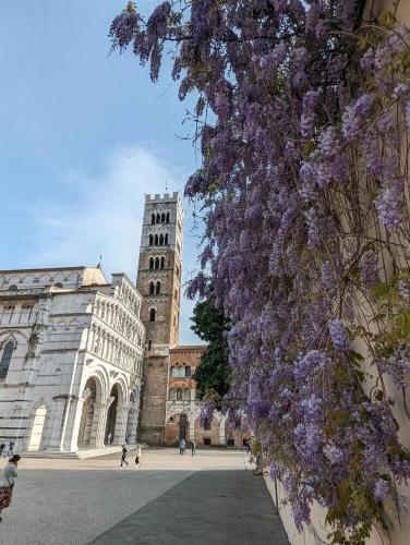 a large building with a tower with purple flowers at CASA ARYA - Independent House - Near the Walls in Lucca