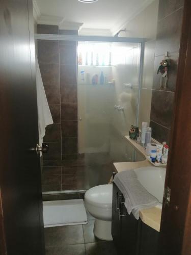 W łazience znajduje się prysznic, toaleta i umywalka. w obiekcie habitacion amoblada con baño w mieście Bucaramanga