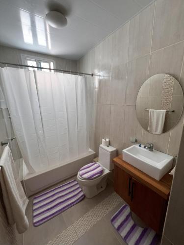 a bathroom with a sink and a toilet and a mirror at Bello Apartamento en Santiago con todas las comodidades in Santiago de los Caballeros