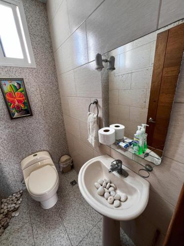 a small bathroom with a toilet and a sink at Bello Apartamento en Santiago con todas las comodidades in Santiago de los Caballeros