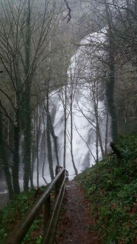 a misty river in the middle of a forest at Apartamentos rurales Casa Do Cabo in Vega de Logares