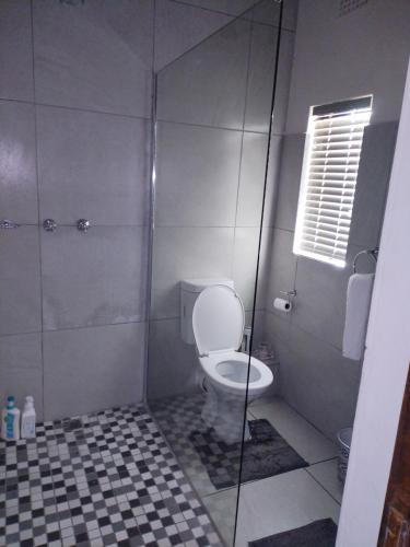 a bathroom with a toilet and a glass shower stall at Uitzight in Beaufort West