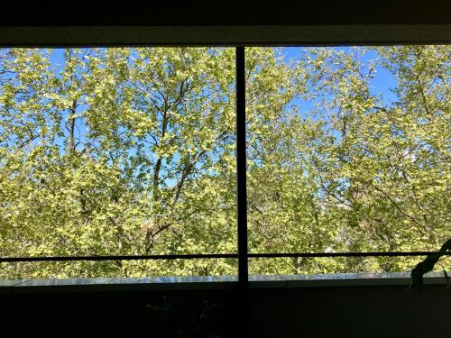 Junior suite avec balcon photo 19