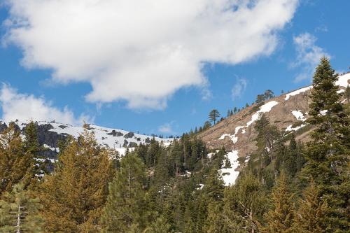 a snow covered mountain with trees on it at Mineral Springs 3 BR w Hot tub Available in Alpine Meadows in Olympic Valley