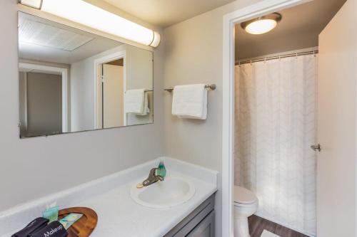 a bathroom with a sink and a mirror at Bargain Memphis apartment w HDTV & WiFi in Memphis