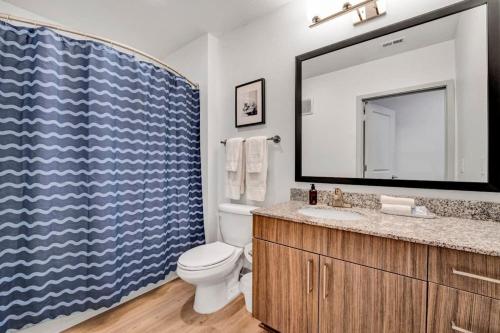 ein Badezimmer mit einem WC, einem Waschbecken und einem Spiegel in der Unterkunft 1 mi to DT and near Death Valley great amenities in Clemson