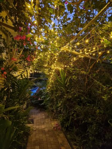 a string of lights in a garden with plants at HOMESTYLE HOSTEL - 18-36yrs in Caloundra