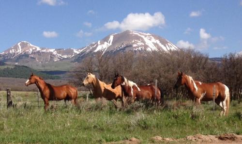 Mount Peale Country Inn near Moab