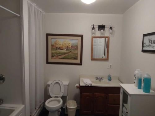 uma casa de banho com um WC, um lavatório e um espelho. em The Glory Glory Cottage Guest Suite Huge Yard em Athens