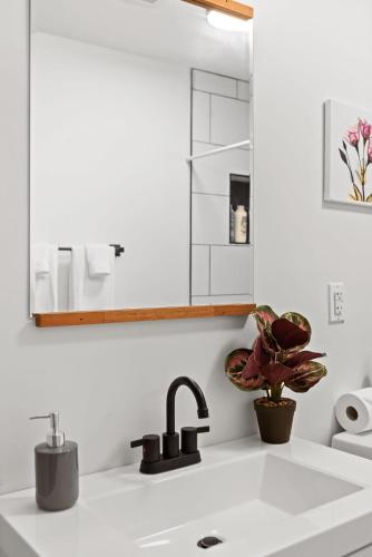 a kitchen counter with a sink and a mirror at Elegant in Noir- Midcentury Modern Vibes in Chattanooga