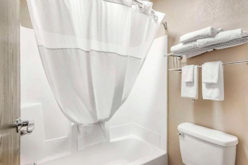 a bathroom with a shower curtain and a toilet at Quality Inn & Suites Delaware in Delaware