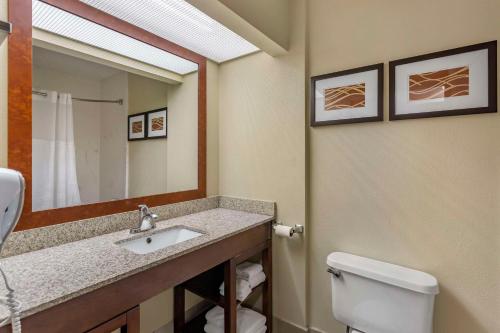 a bathroom with a sink and a toilet and a mirror at Comfort Suites At Rivergate Mall in Goodlettsville