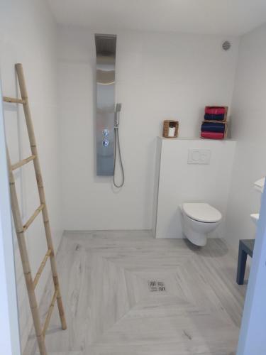 沃克蘭的住宿－COCON DES ANTILLES，白色的浴室设有卫生间和梯子