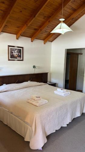 1 dormitorio con 1 cama grande y 2 toallas. en Hostería Don Costa en Chos Malal