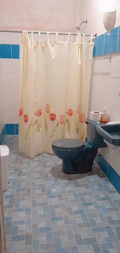 a bathroom with a toilet and a shower curtain at D' all leon hostal in León