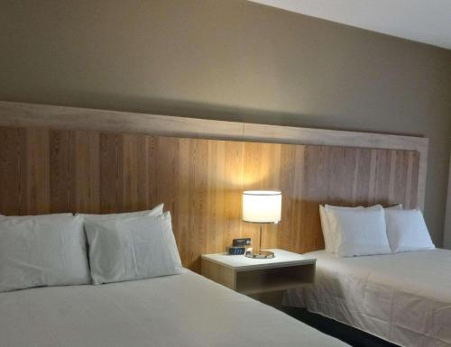 彭德爾頓的住宿－Radisson Hotel Pendleton Airport，酒店客房设有两张床和一张带台灯的桌子。