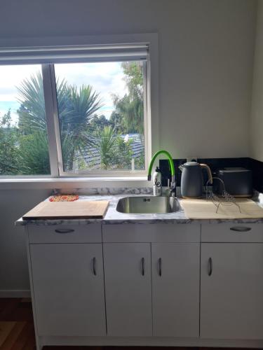a kitchen counter with a sink and a window at Paris studio in Auckland