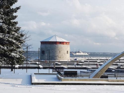 a building in the snow with a cruise ship in the distance at Holiday Inn Kingston - Waterfront by IHG in Kingston