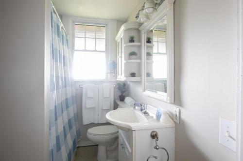 Un baño blanco con inodoro y lavabo. en Redmont Revival-Unit B-Walkable-UAB, en Birmingham