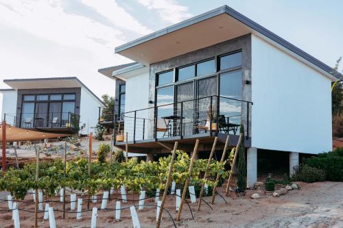a house with a bunch of plants in front of it at Villa LOAR Valle de Guadalupe in El Porvenir