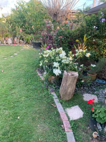a garden with flowers and a log in the grass at Home Away From Home in Kingston