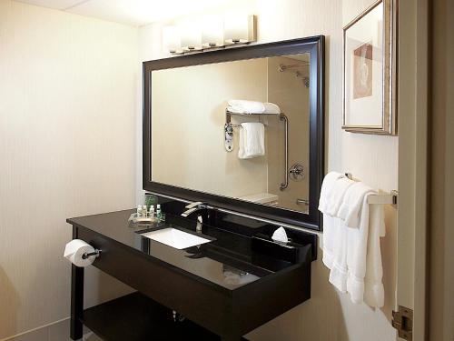 a bathroom with a sink and a large mirror at Holiday Inn & Suites Winnipeg Downtown, an IHG Hotel in Winnipeg