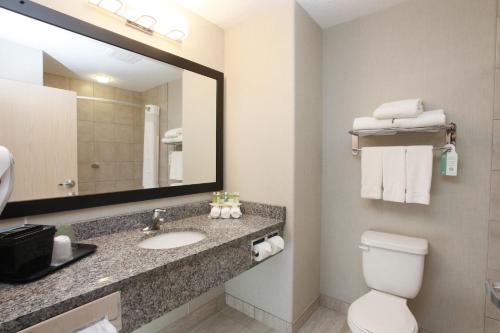 a bathroom with a sink and a toilet and a mirror at Holiday Inn Express Fort St John, an IHG Hotel in Fort Saint John