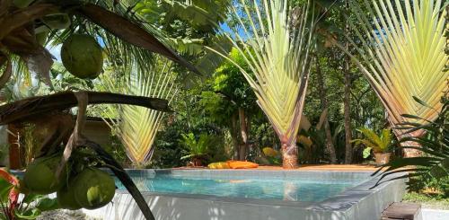a swimming pool in a garden with palm trees at Bohol Island Homestay in Dauis