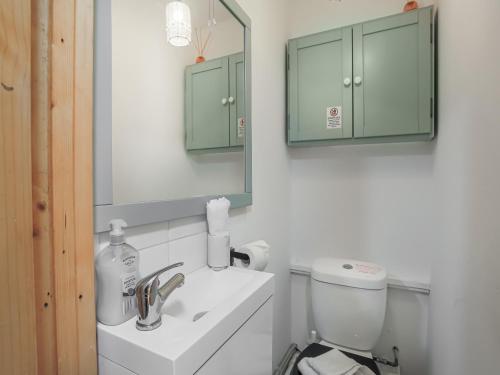 a bathroom with a sink and a mirror and a toilet at Garden Flat in Torquay