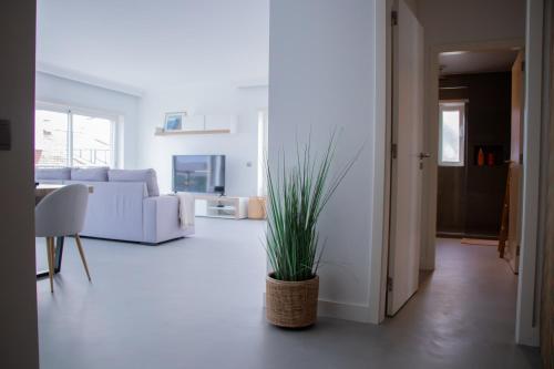 a living room with a white couch and a potted plant at Casa do Sal in Sesimbra