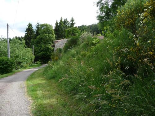 Photo de la galerie de l'établissement Charmant Gîte avec Terrasse, Cheminée et Jardin, à Proximité des Bois, Animaux Acceptés - FR-1-496-205, à Saint-Jean-Soleymieux