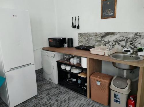 eine Küche mit einer Spüle und einer Waschmaschine in der Unterkunft Waterfall Hostel in Sarajevo