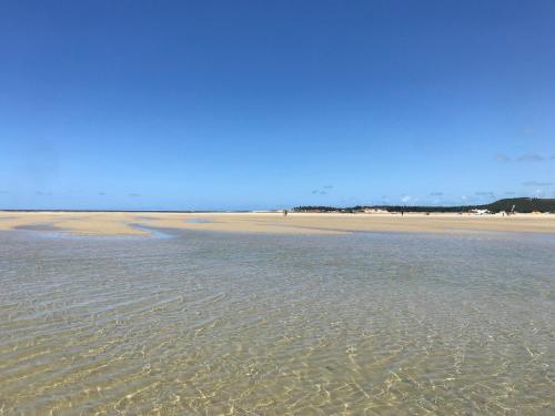 a beach with the ocean and the shoreline at Hilton Garden Inn Maceio in Maceió