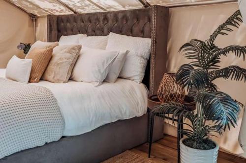 Una cama o camas en una habitación de Dragonfly Lookout