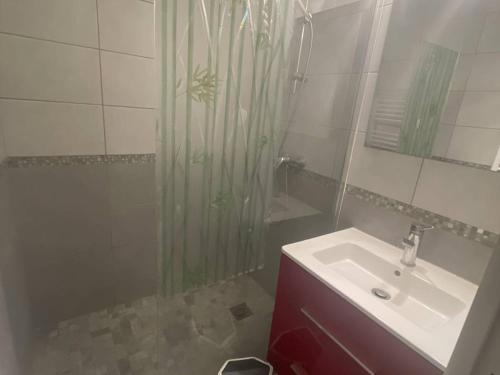 une salle de bain avec un lavabo et une douche dans l'établissement Studio clim proche plage Richelieu, parking - FR-1-723-150, au Cap d'Agde