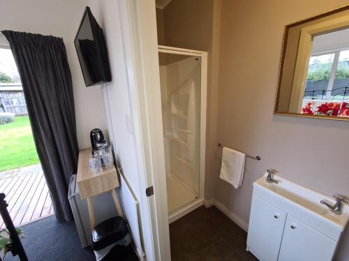 a bathroom with a sink and a mirror and a television at Central Masterton Sleepout in Masterton