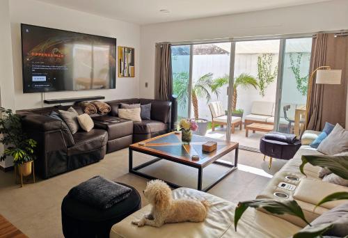a living room with a dog sitting on a couch at Luxury home at Juriquilla, 4 bedrooms Queretaro in Querétaro