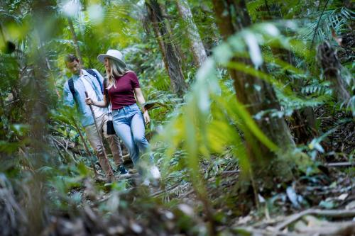 Tetamu yang menginap di Crystal Creek Rainforest Retreat