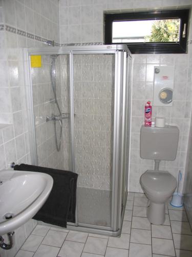 een badkamer met een douche, een toilet en een wastafel bij Ferienwohnung Pargen in Bullay