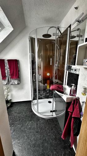 a bathroom with a glass shower in a room at Ferienwohnung Hanna in Longkamp