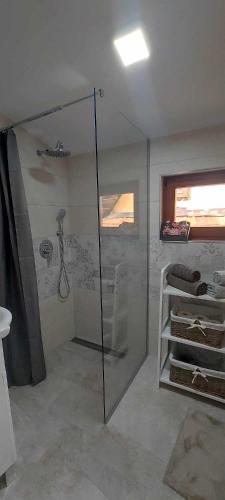 a bathroom with a shower with a glass door at Villa Ruža Vareš in Vareš