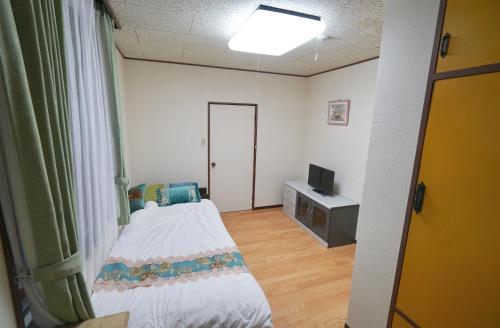 a small room with a bed and a television at 板東ビル in Tokyo