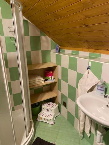 een badkamer met een wastafel en een douche bij Apartman U vleku in Ceske Petrovice